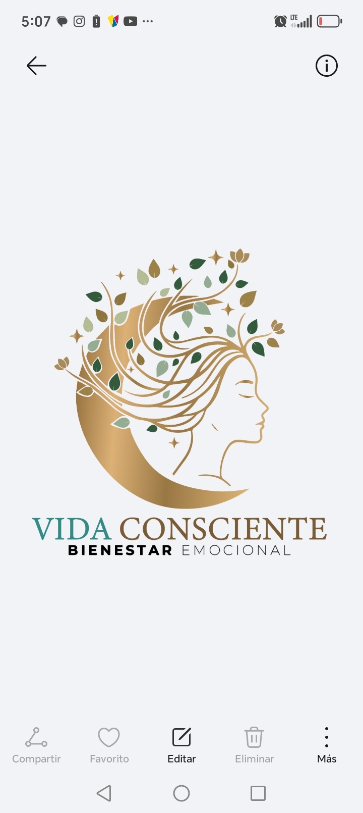 Vida Consciente